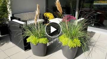 Small Garden Design With Large Planters