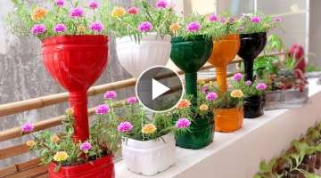 Recycle Plastic Bottles into Colorful Flower Pots for Small Garden and Balcony