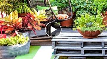 38 Creative Container Garden Ideas