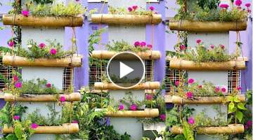Unique Portulaca Hanging Stairs | Homemade Hanging Bamboo planter | DIY Gardening Idea